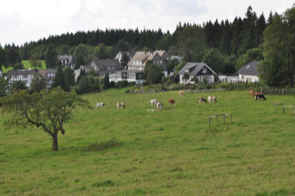 Landschafts-Gasthaus Brautigam-Hanses Schmallenberg Exterior foto